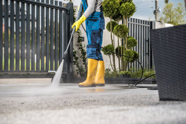 Best Roof Pressure Washing  in Wiggins, CO