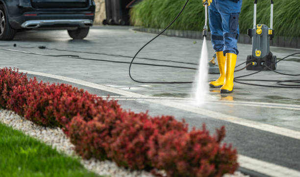 Best Affordable Power Washing  in Wiggins, CO